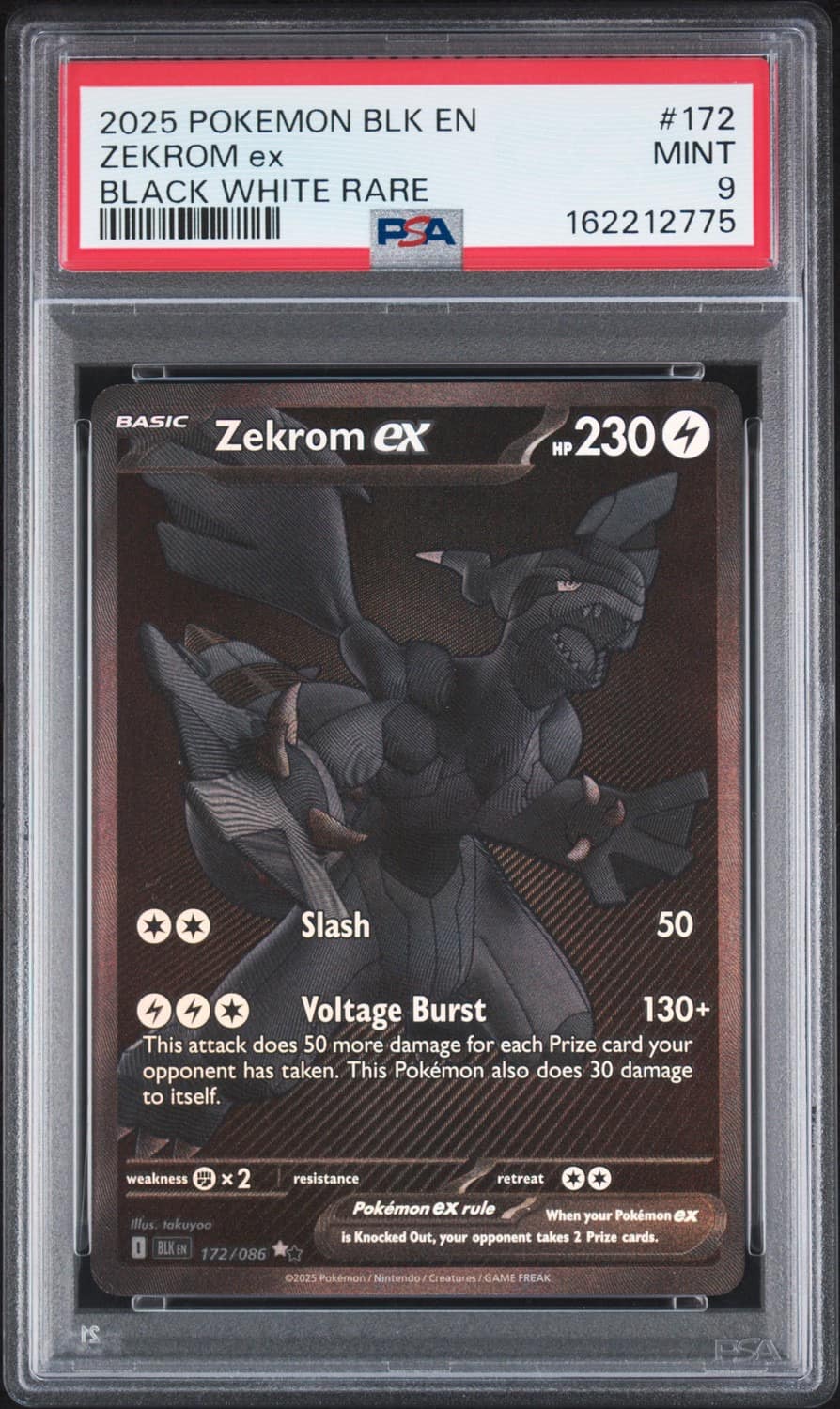 Zekrom Ex