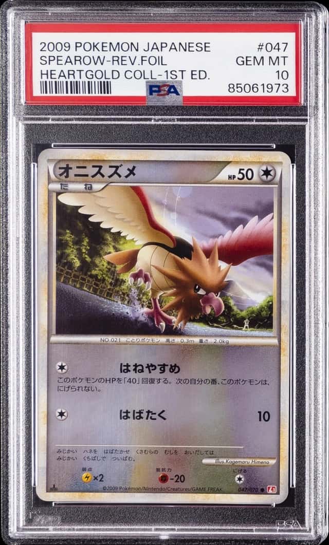 Spearow