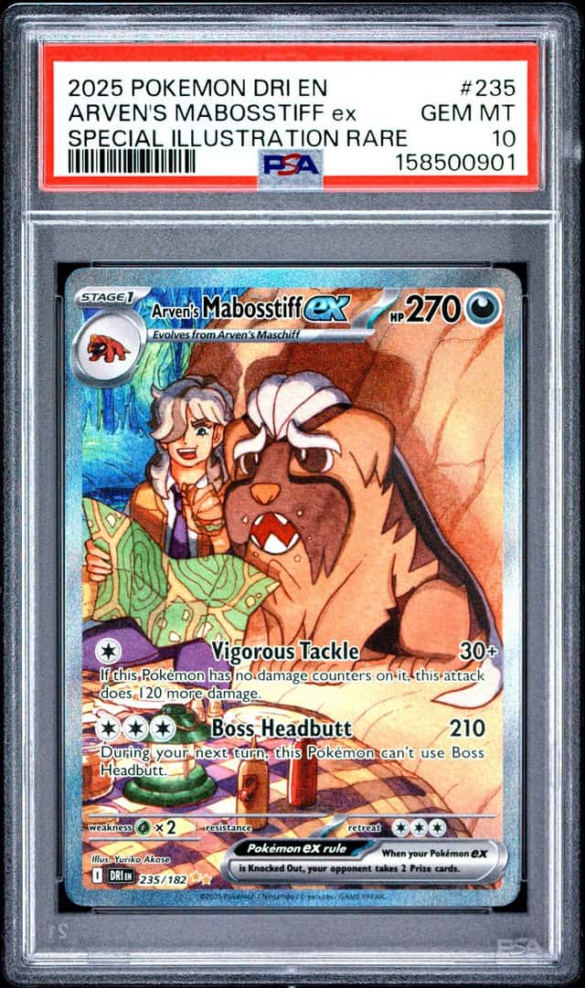 ARVEN'S MABOSSTIFF ex