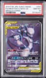 Mewtwo & Mew Gx