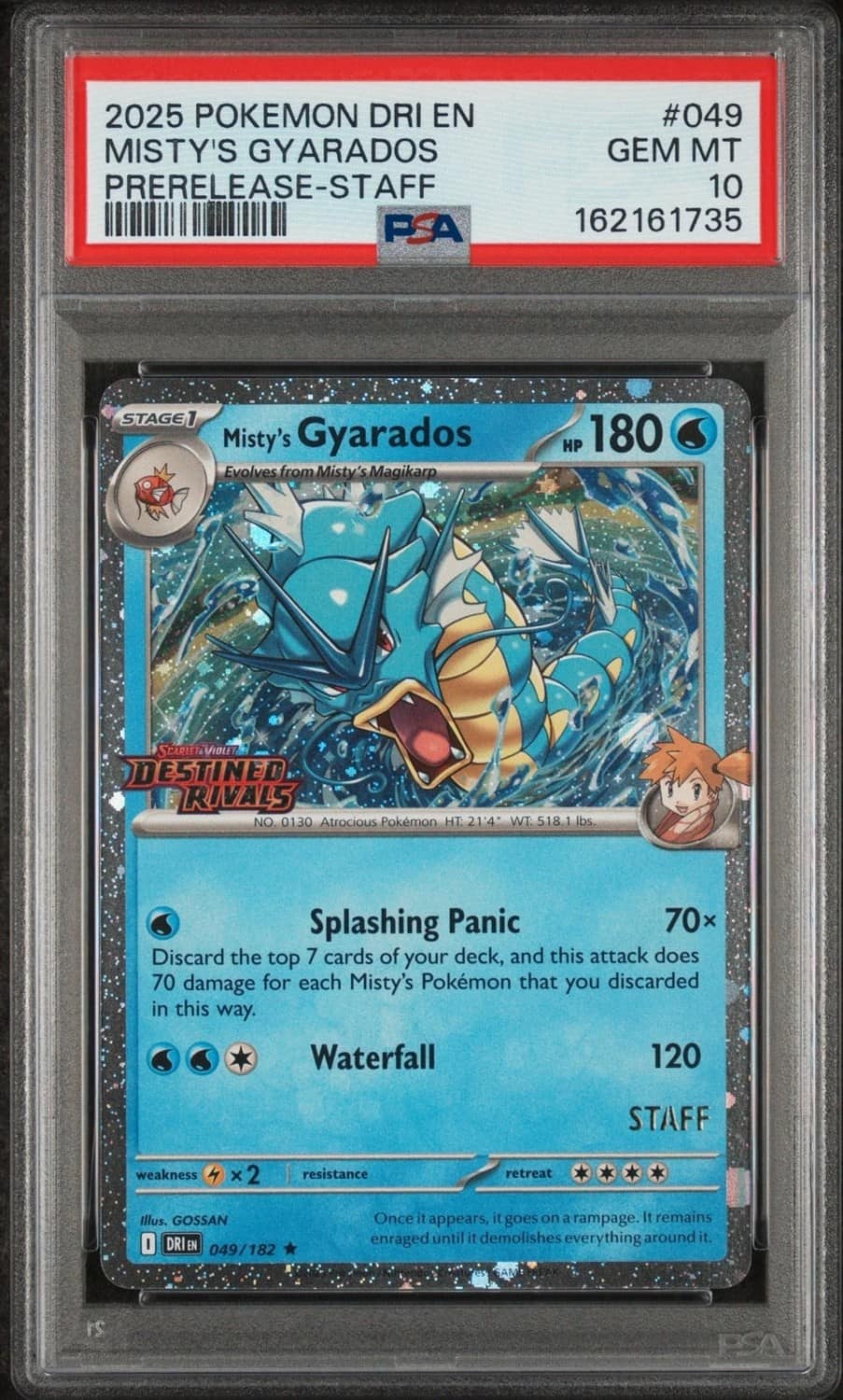 Misty'S Gyarados