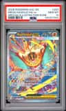 Mega Hawlucha Ex