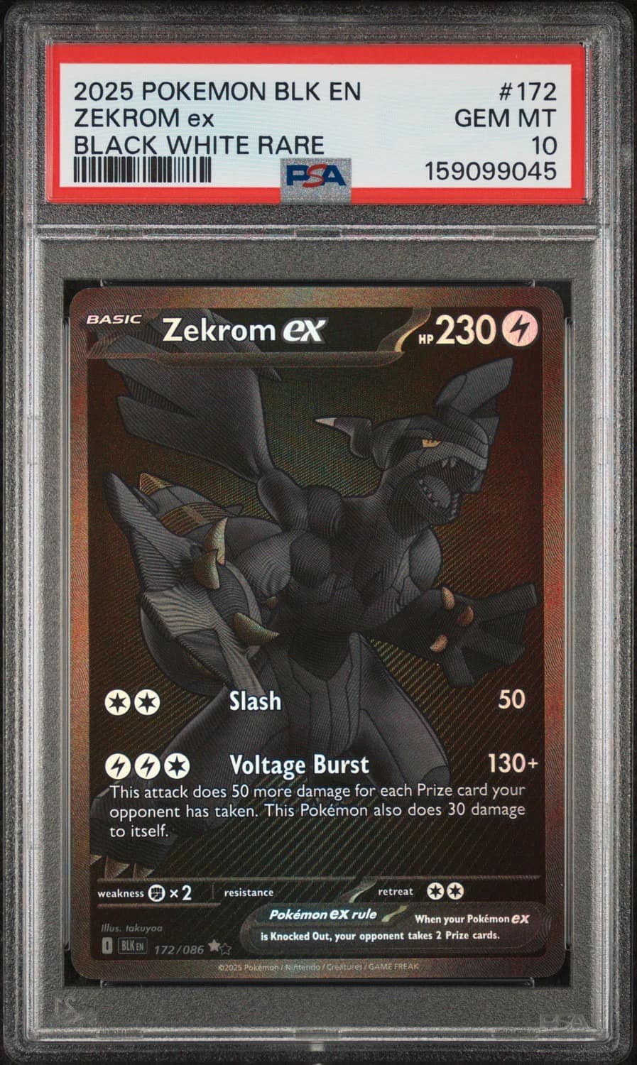 Zekrom Ex