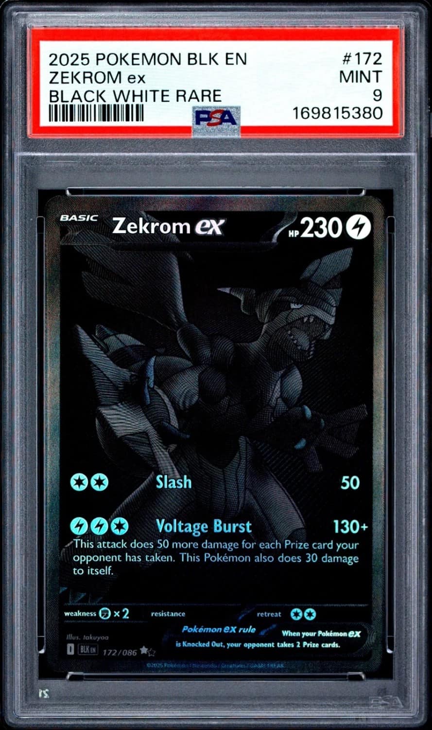 Zekrom Ex