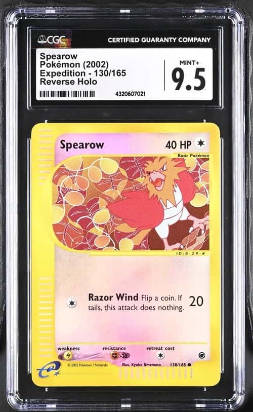 Spearow