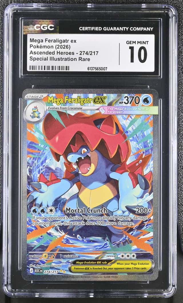 MEGA FERALIGATR ex