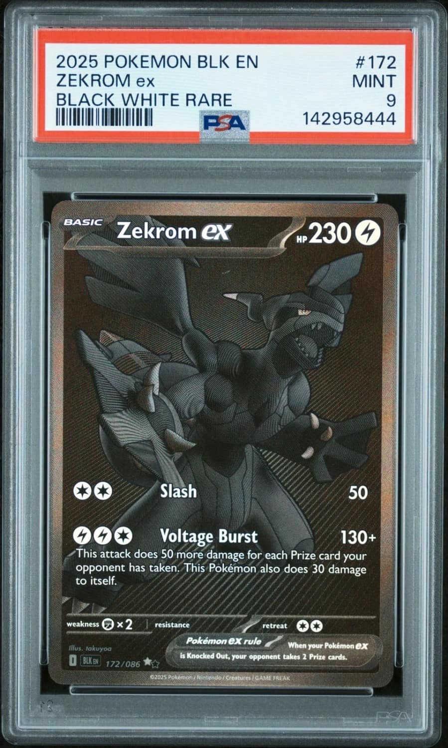 Zekrom Ex