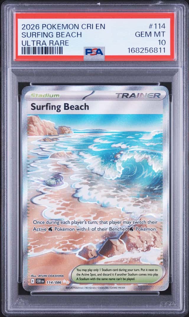 Surfing Beach