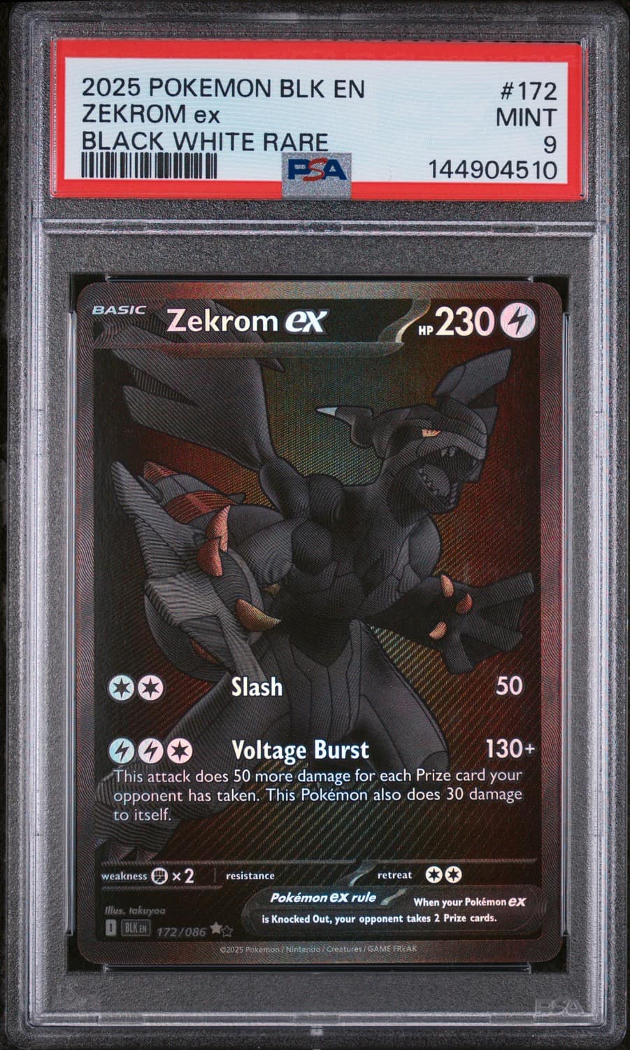 Zekrom Ex