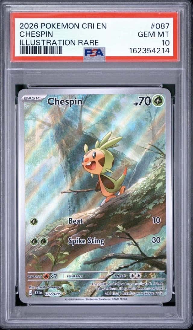 Chespin