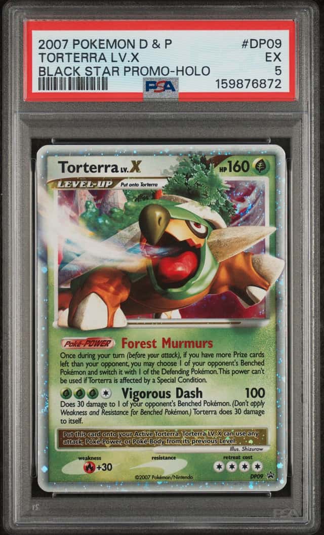 TORTERRA LV.X