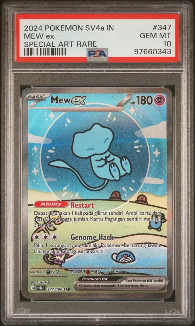 MEW ex