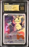 Team Rocket'S Mimikyu