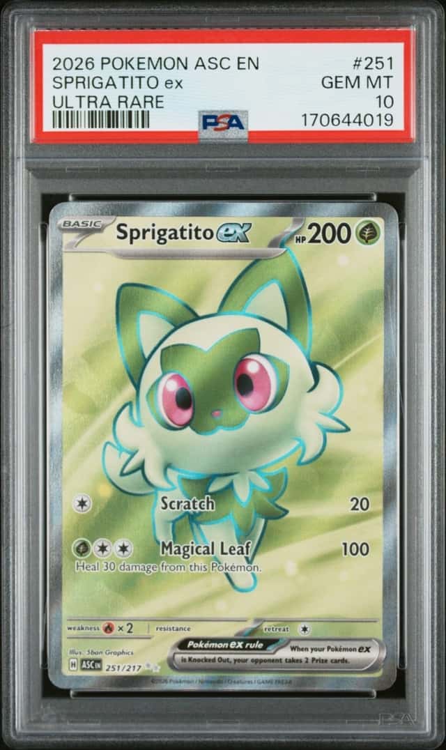 SPRIGATITO ex
