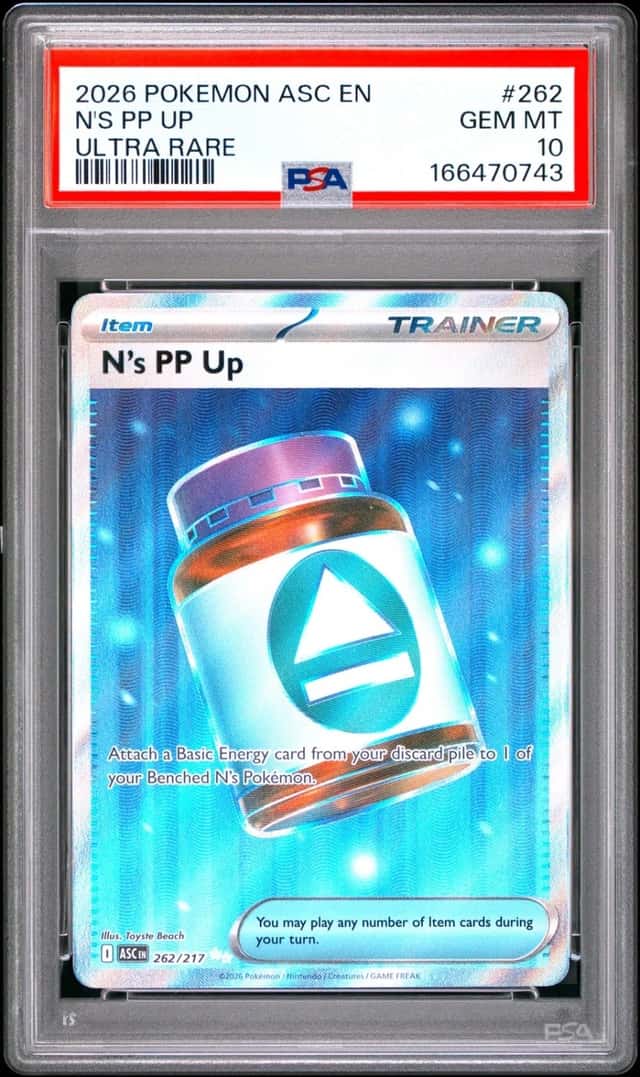 N's PP Up