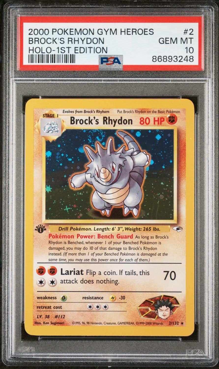 Brock'S Rhydon