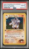 Brock'S Rhydon