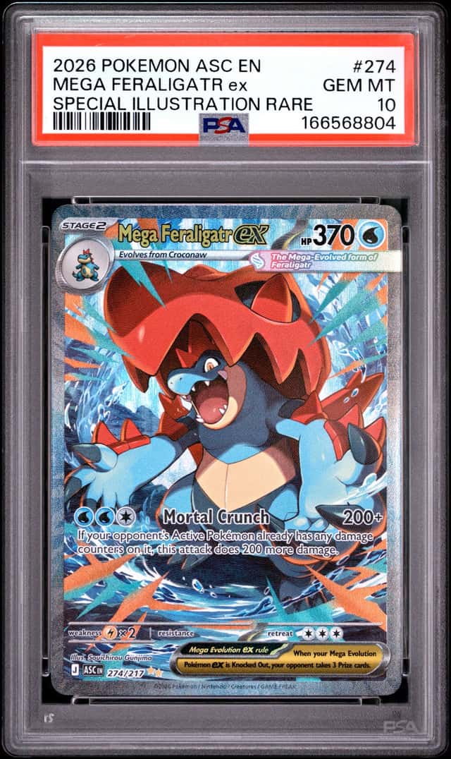 MEGA FERALIGATR ex