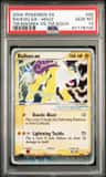 Raikou Ex