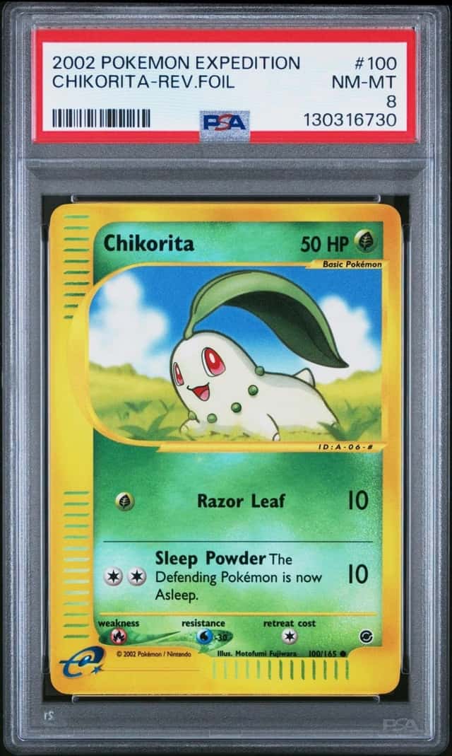 Chikorita