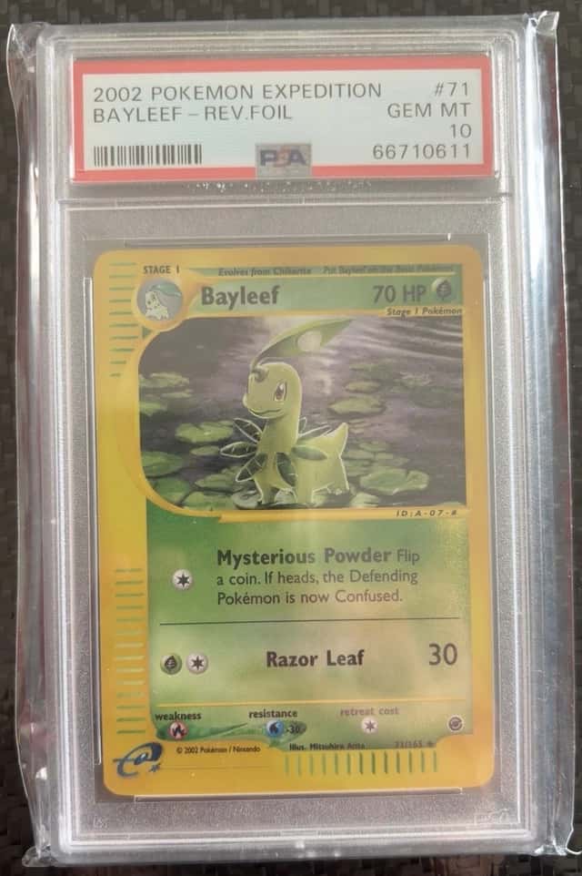 Bayleef