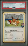 Eevee On The Ball