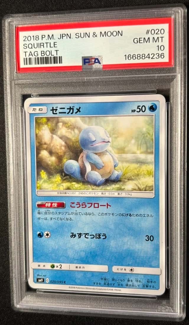 Squirtle