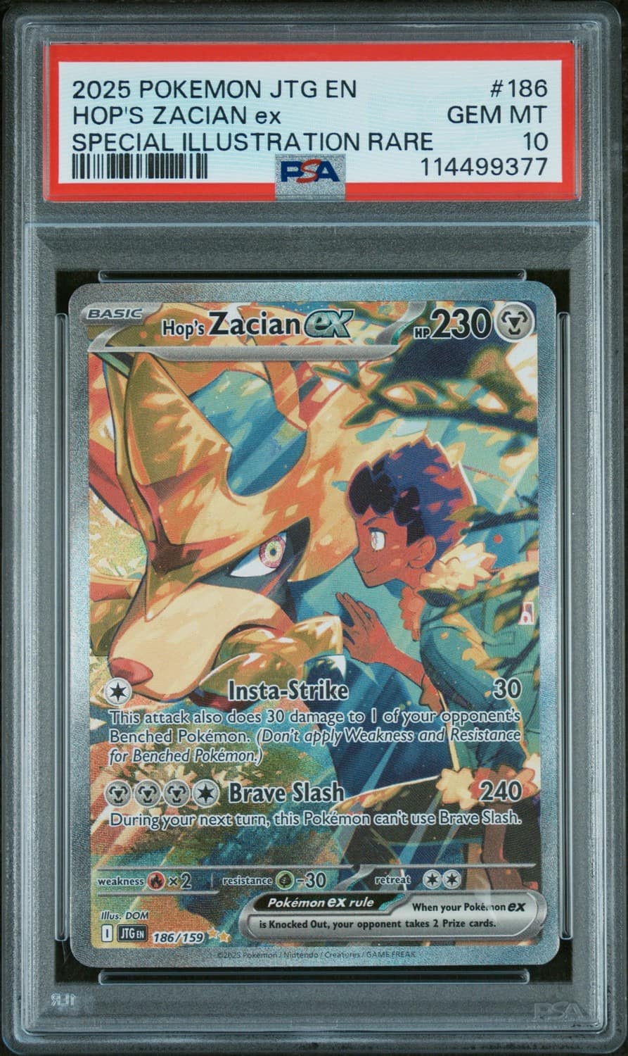 Hop'S Zacian Ex