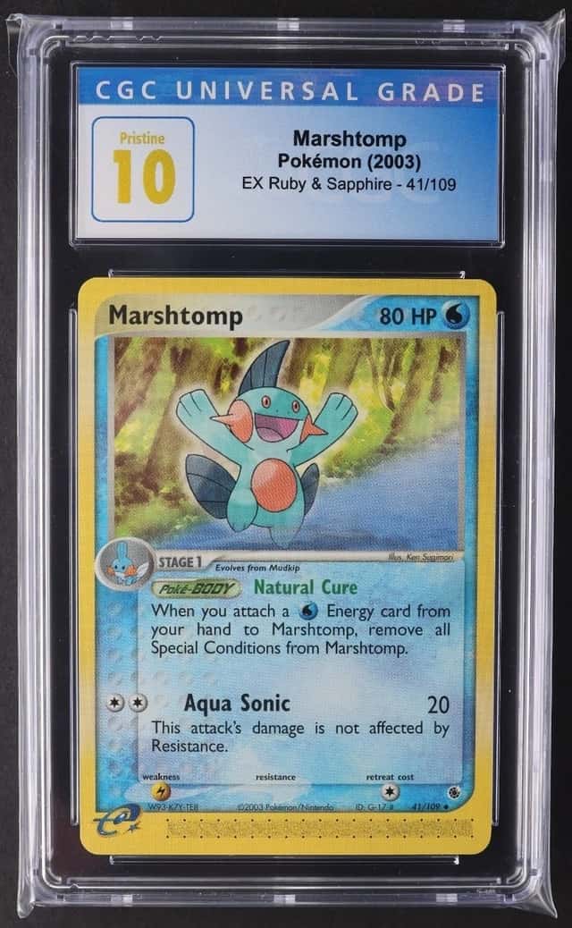Marshtomp