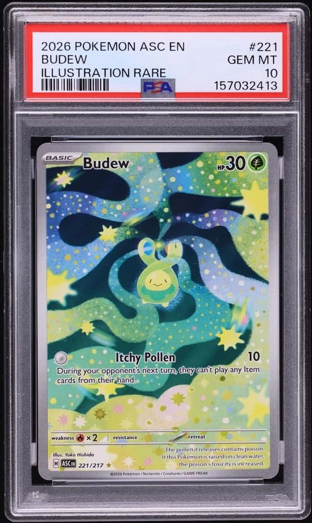 Budew