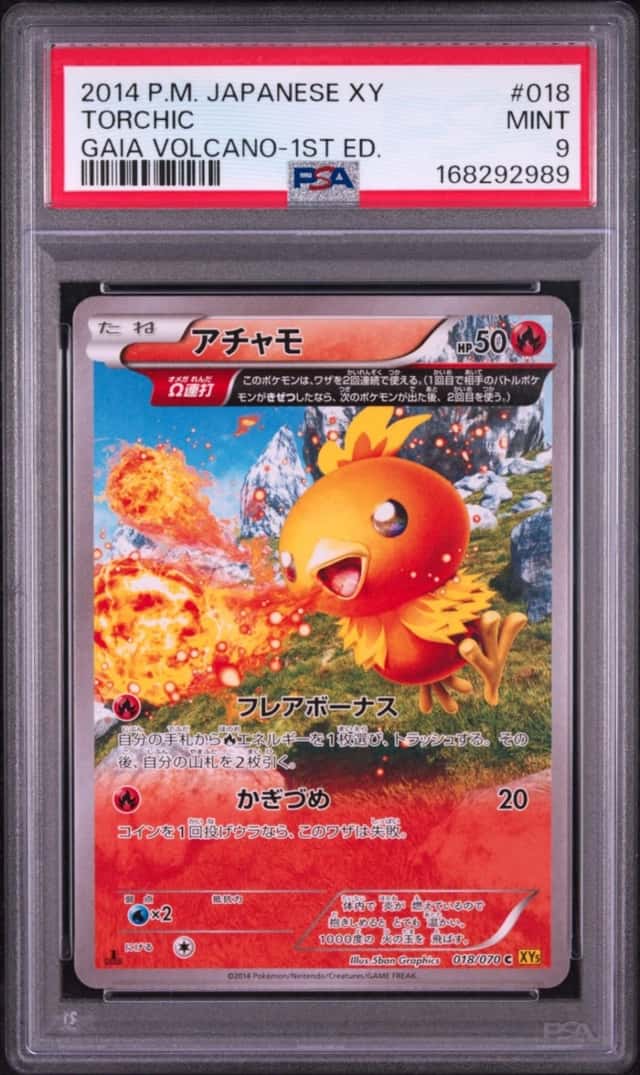 Torchic