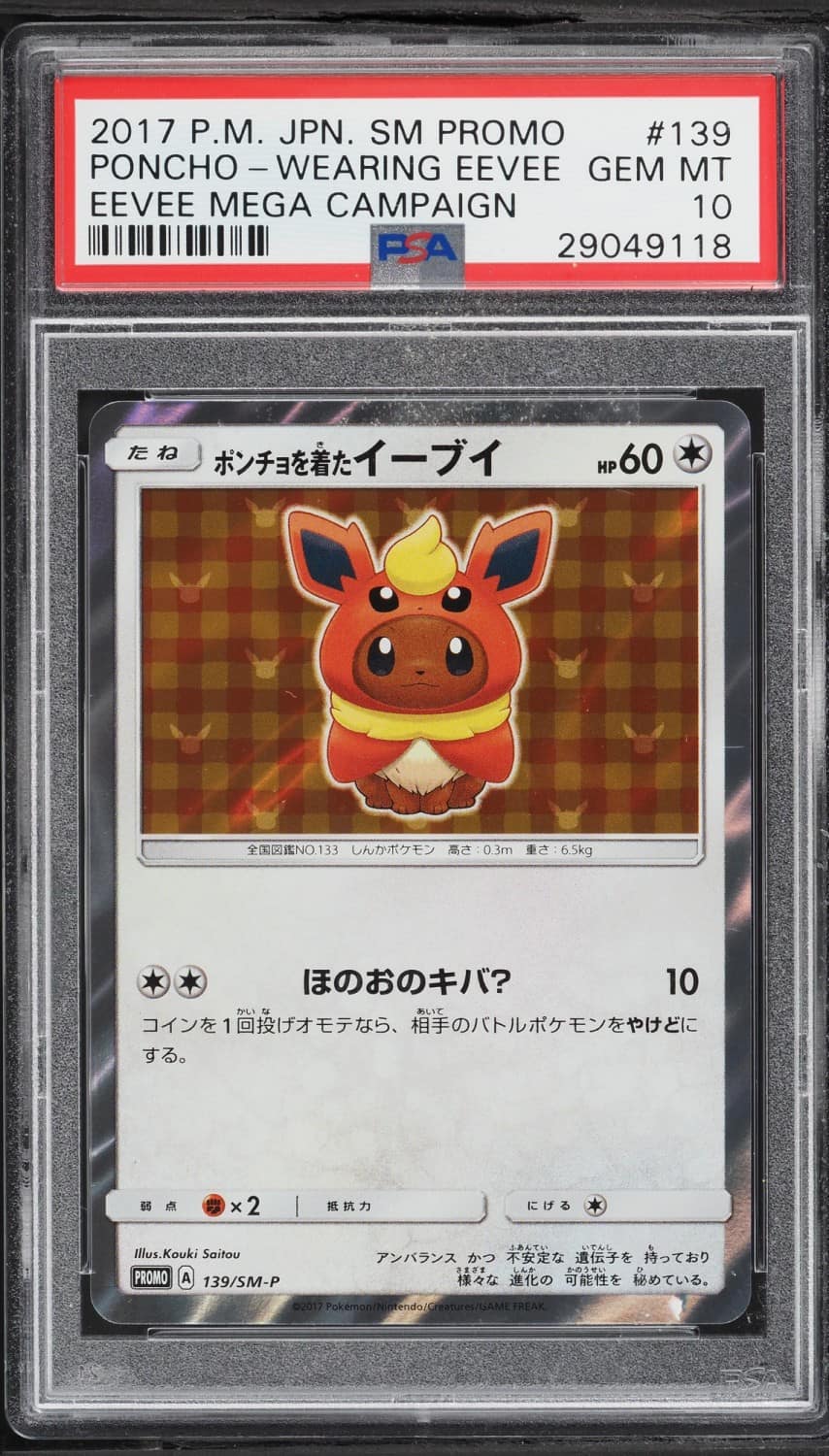 Poncho-Wearing Eevee