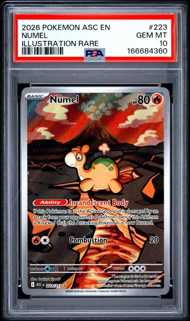 Numel