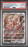 Hisuian Zoroark Vstar