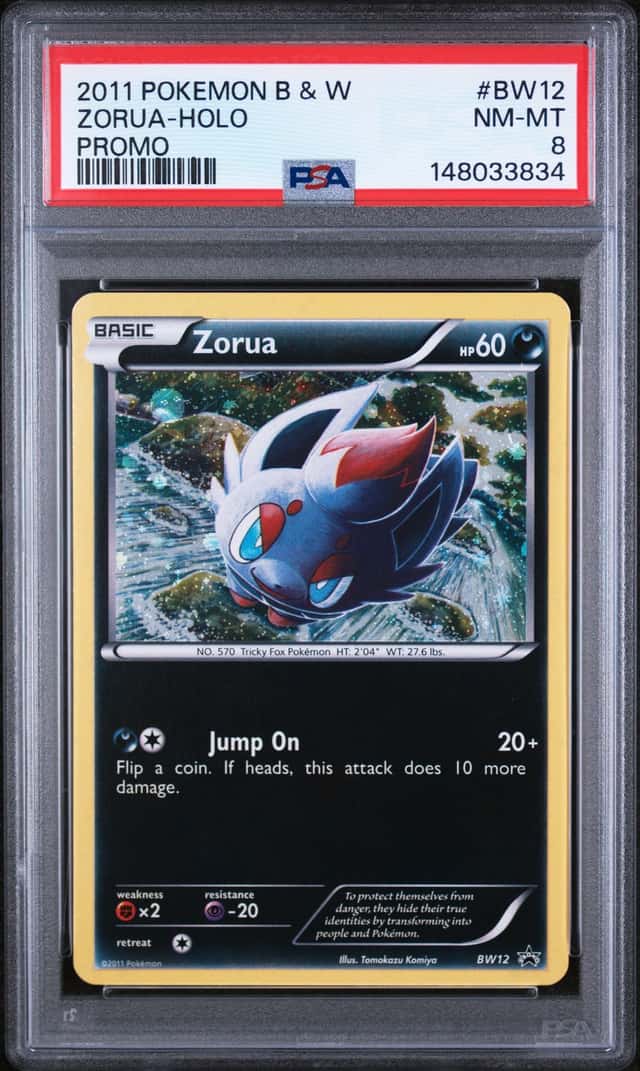 Zorua