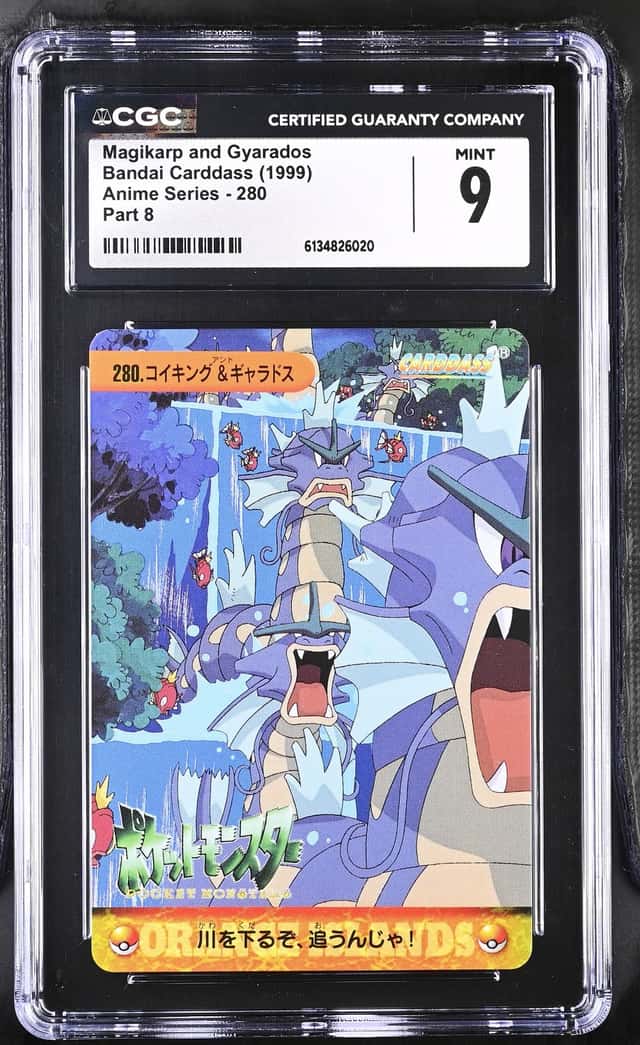 Magikarp and Gyarados