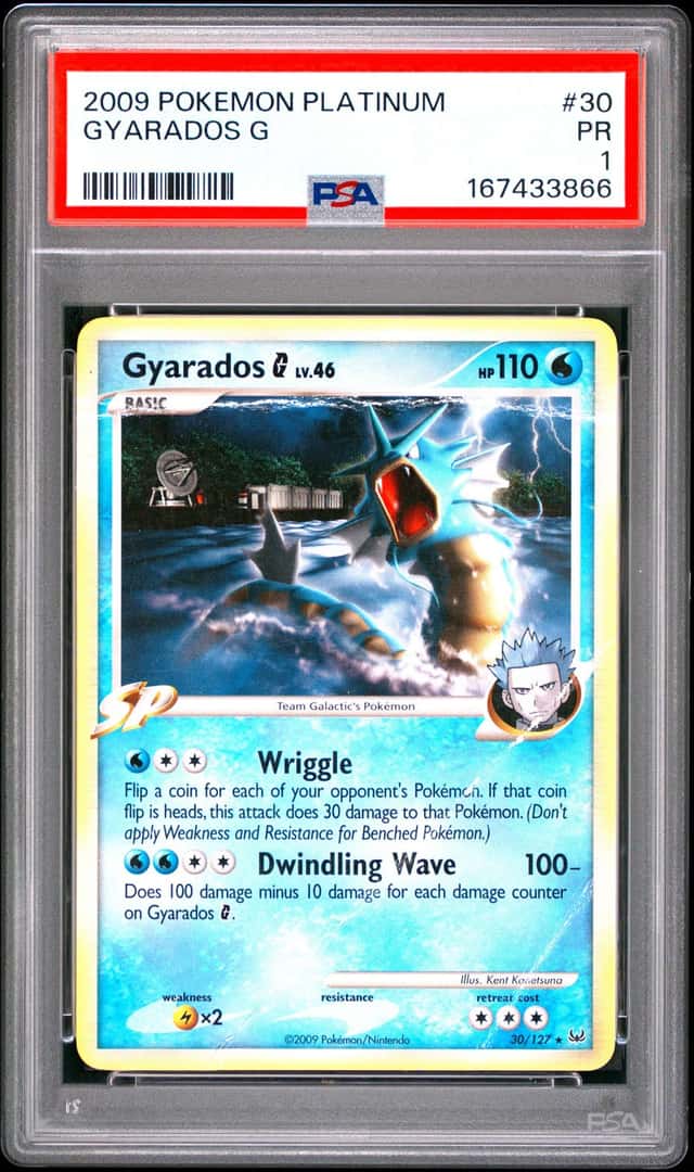 Gyarados G