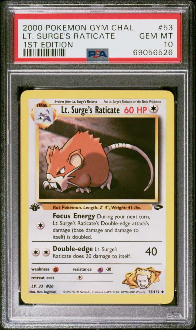 Lt. Surge's Raticate