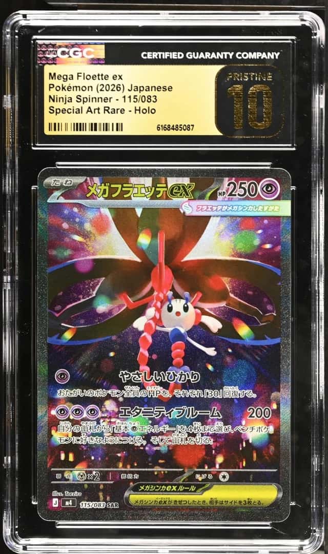MEGA FLOETTE ex