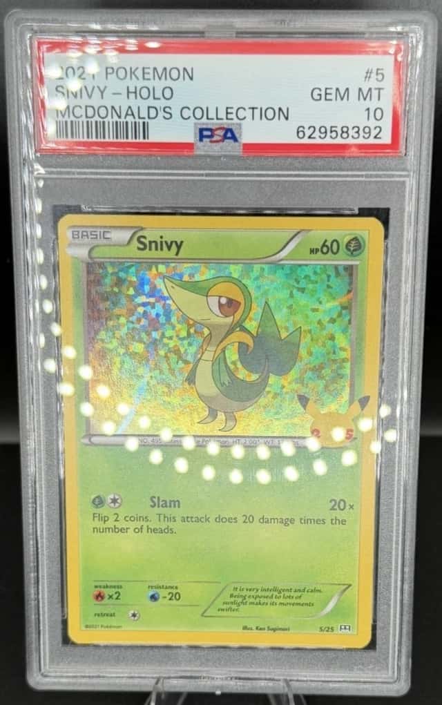 Snivy