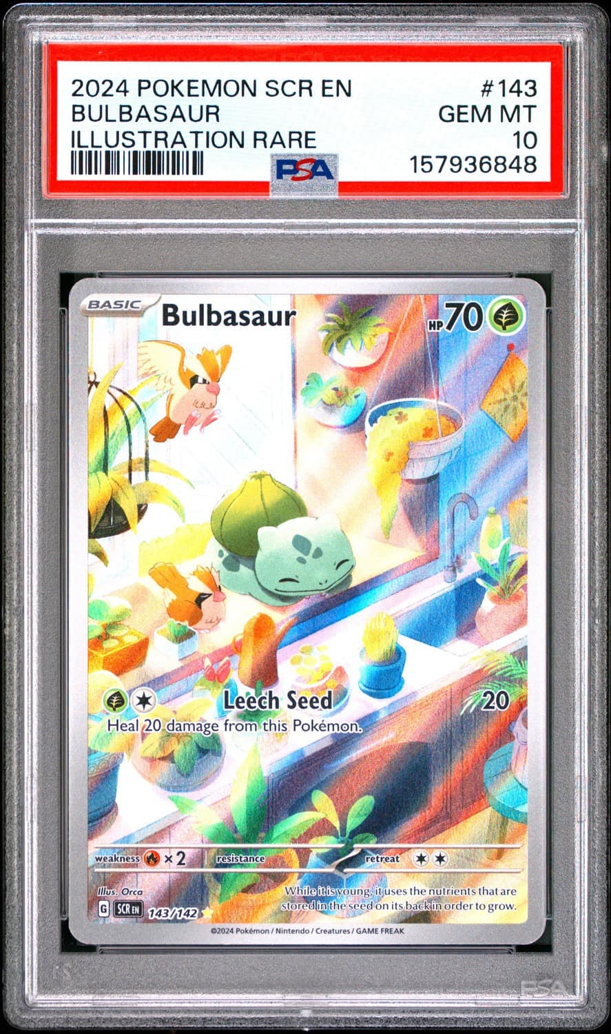 Bulbasaur