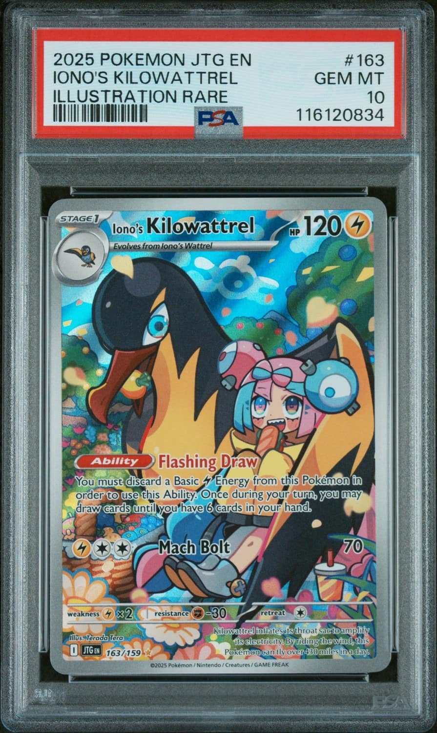 Iono'S Kilowattrel