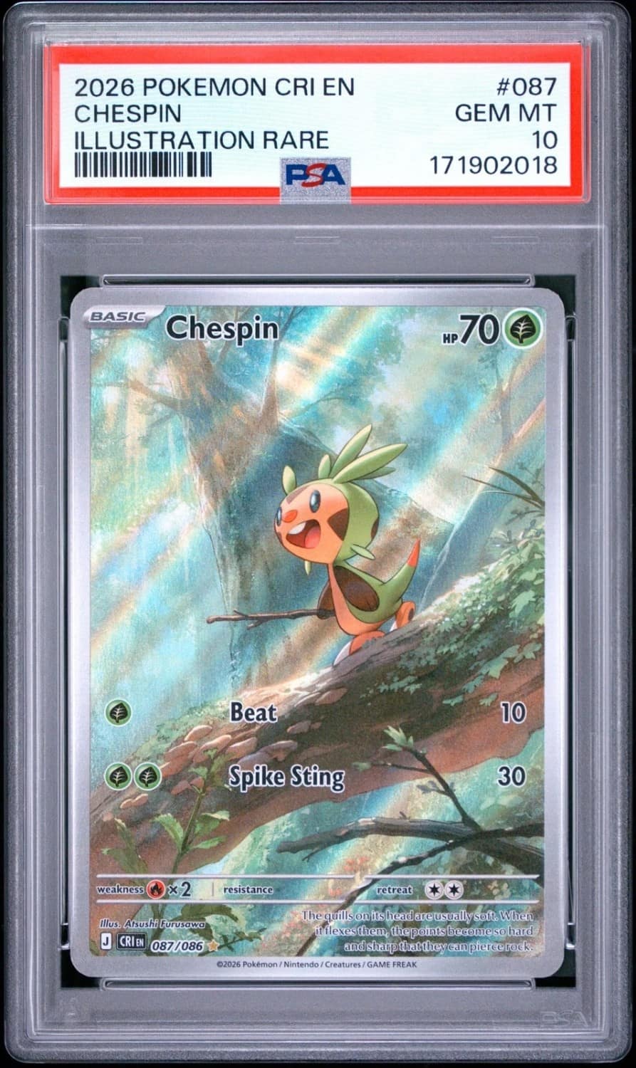 Chespin