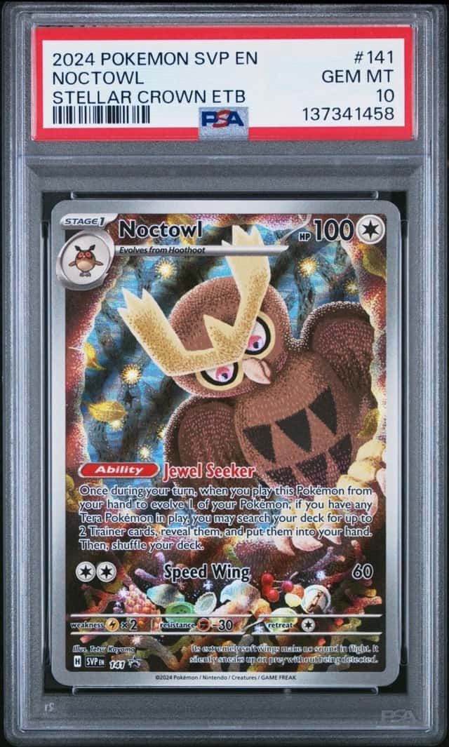 Noctowl