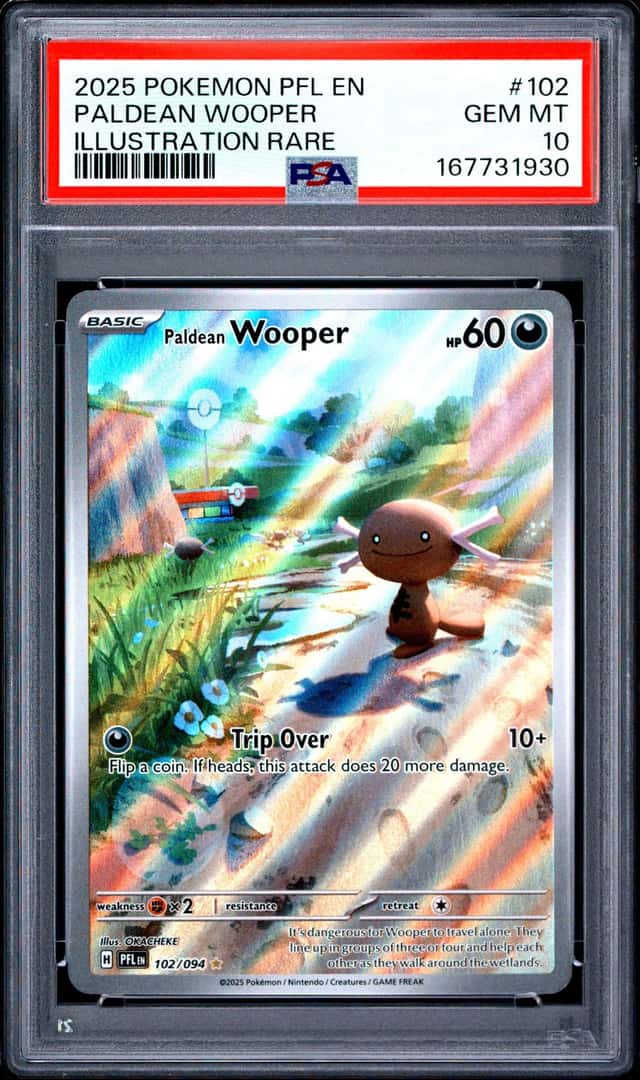 Paldean Wooper