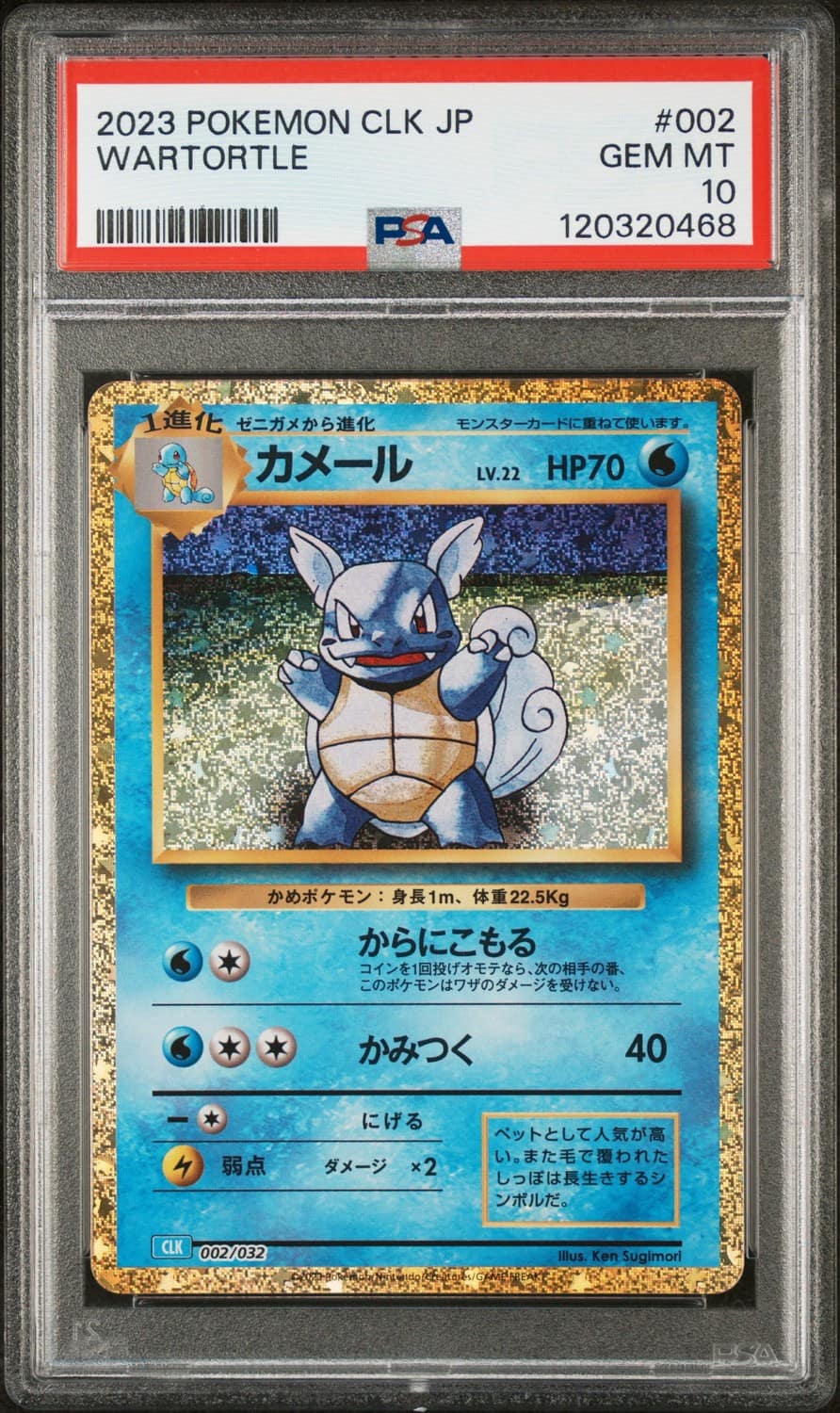 Wartortle