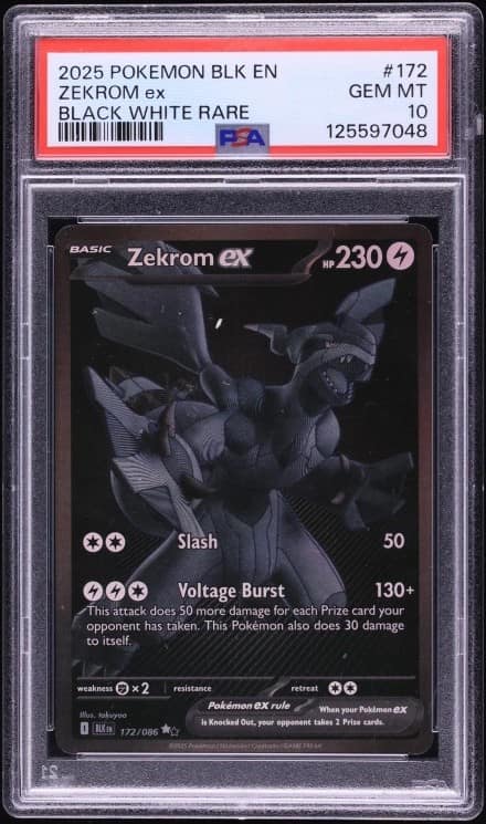 Zekrom Ex