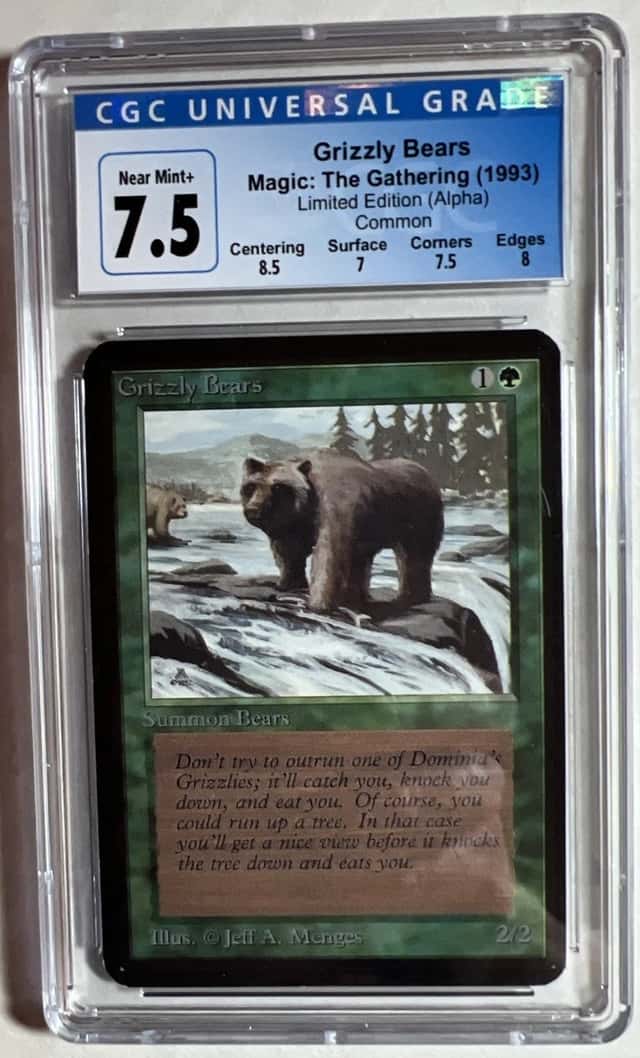 Grizzly Bears
