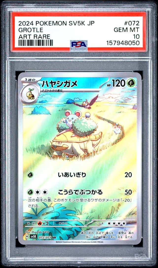 Grotle