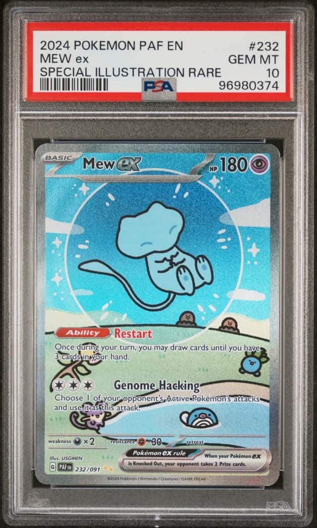 MEW ex
